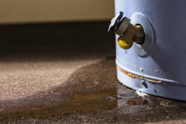 Best Basement water damage restoration  in Bruceton, TN