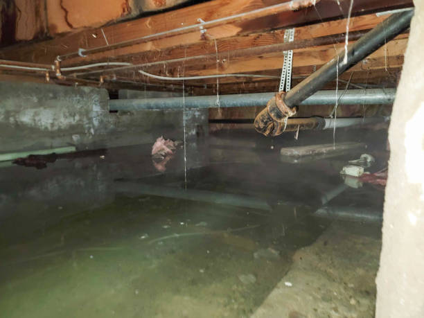 Best Residential water damage restoration  in Bruceton, TN