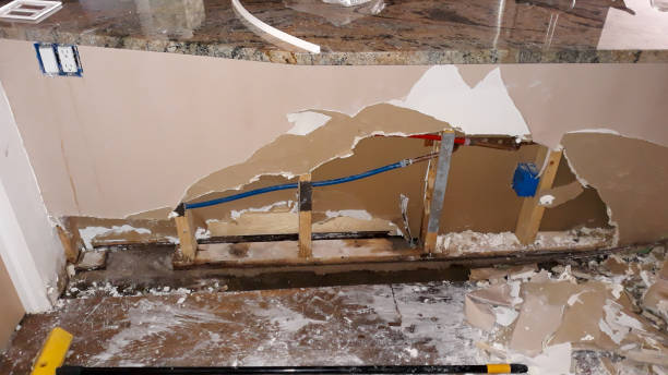 Best Professional water damage repair  in Bruceton, TN