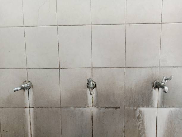 Best Fire Damage Restoration  in Bruceton, TN